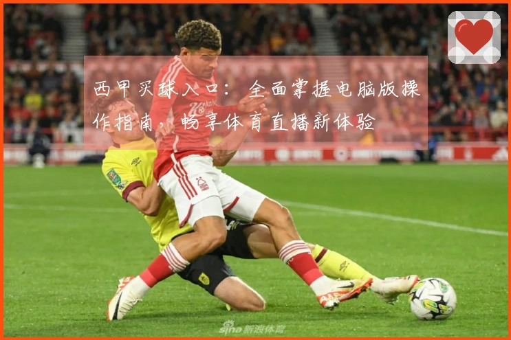 西甲买球入口:全面掌握电脑版操作指南,畅享体育直播新体验