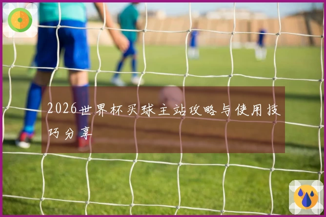 2026世界杯买球主站攻略与使用技巧分享