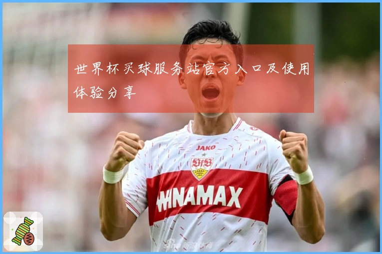 世界杯买球服务站官方入口及使用体验分享